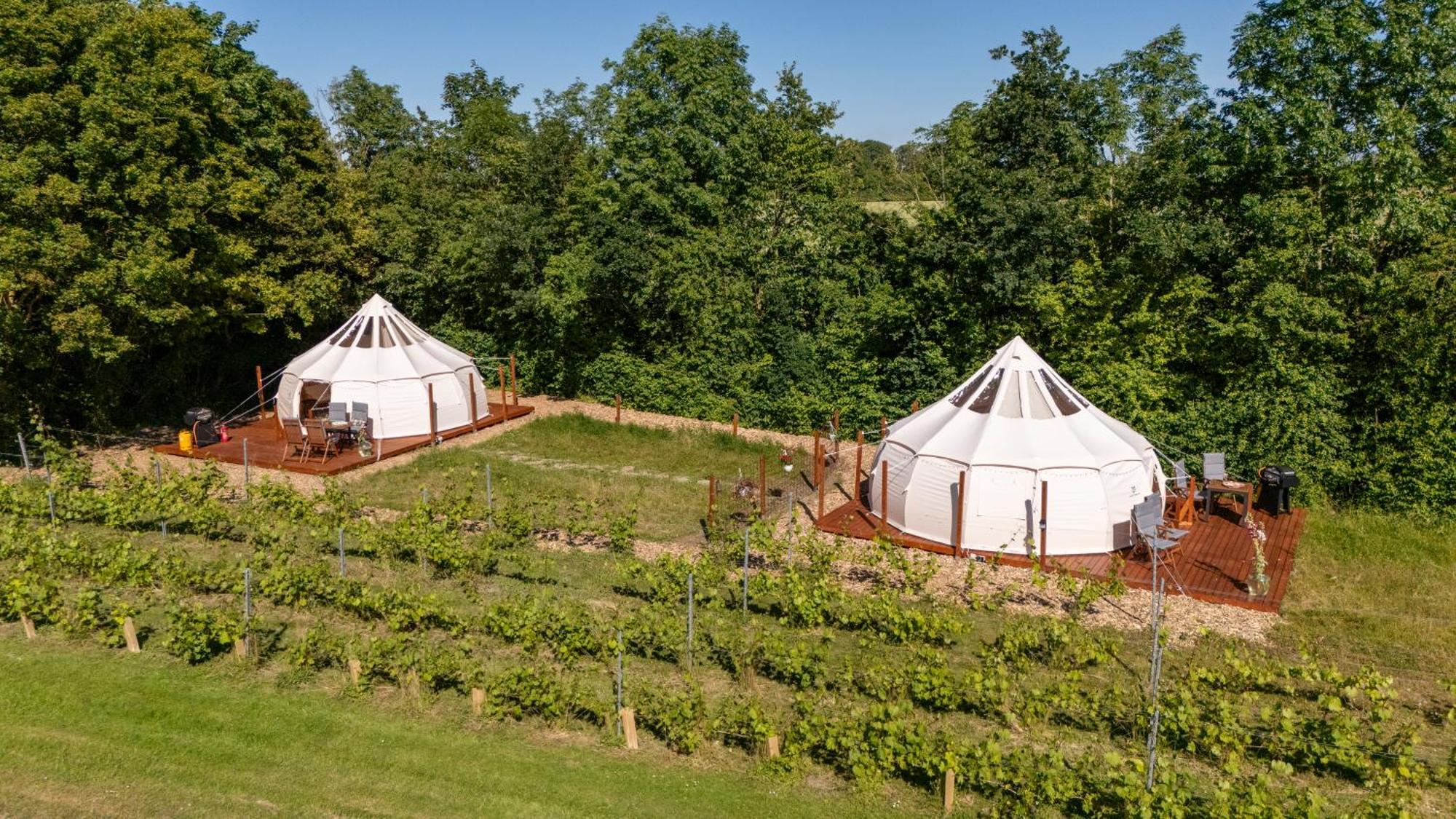 Hotel Holmegaard Vin Og Glamping Dannemare Esterno foto