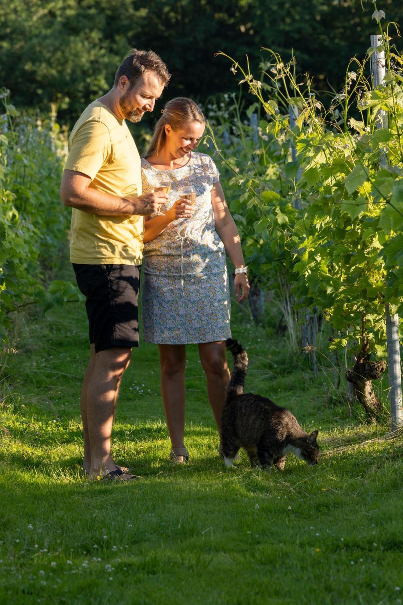 Hotel Holmegaard Vin Og Glamping Dannemare Esterno foto