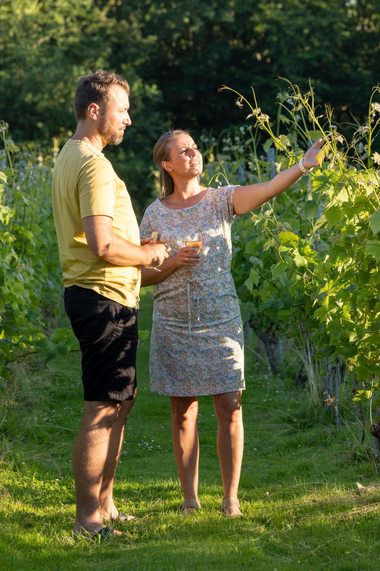 Hotel Holmegaard Vin Og Glamping Dannemare Esterno foto